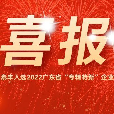 熱烈祝賀泰豐空調(diào)入選2022廣東省“專精特新”企業(yè)！